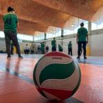 pelota de voleibol