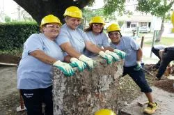 Curso
